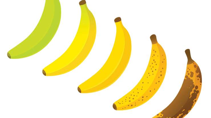Le banane verdi sono più buone di quelle mature? Cosa dicono gli esperti