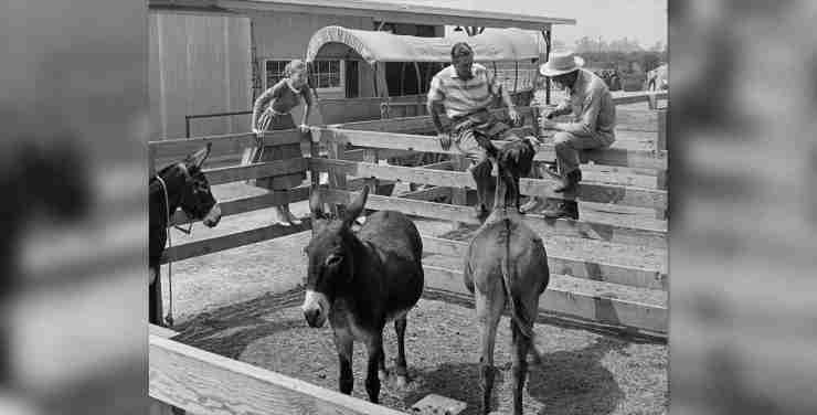 Una storia incredibile | Sono vissuta per 15 anni a Disneyland e nessuno lo sapeva